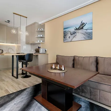 Przytulny Z Balkonem I Parkingiem By Renters Apartmán Gdaňsk